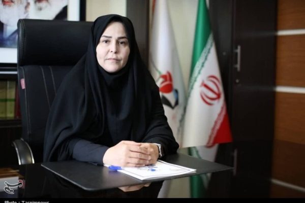 تأکید مدیرکل بنیاد شهید تهران بر تسهیل امور ایثارگران در شهرستان‌ها